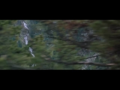 কোম্পানির প্রোফাইল